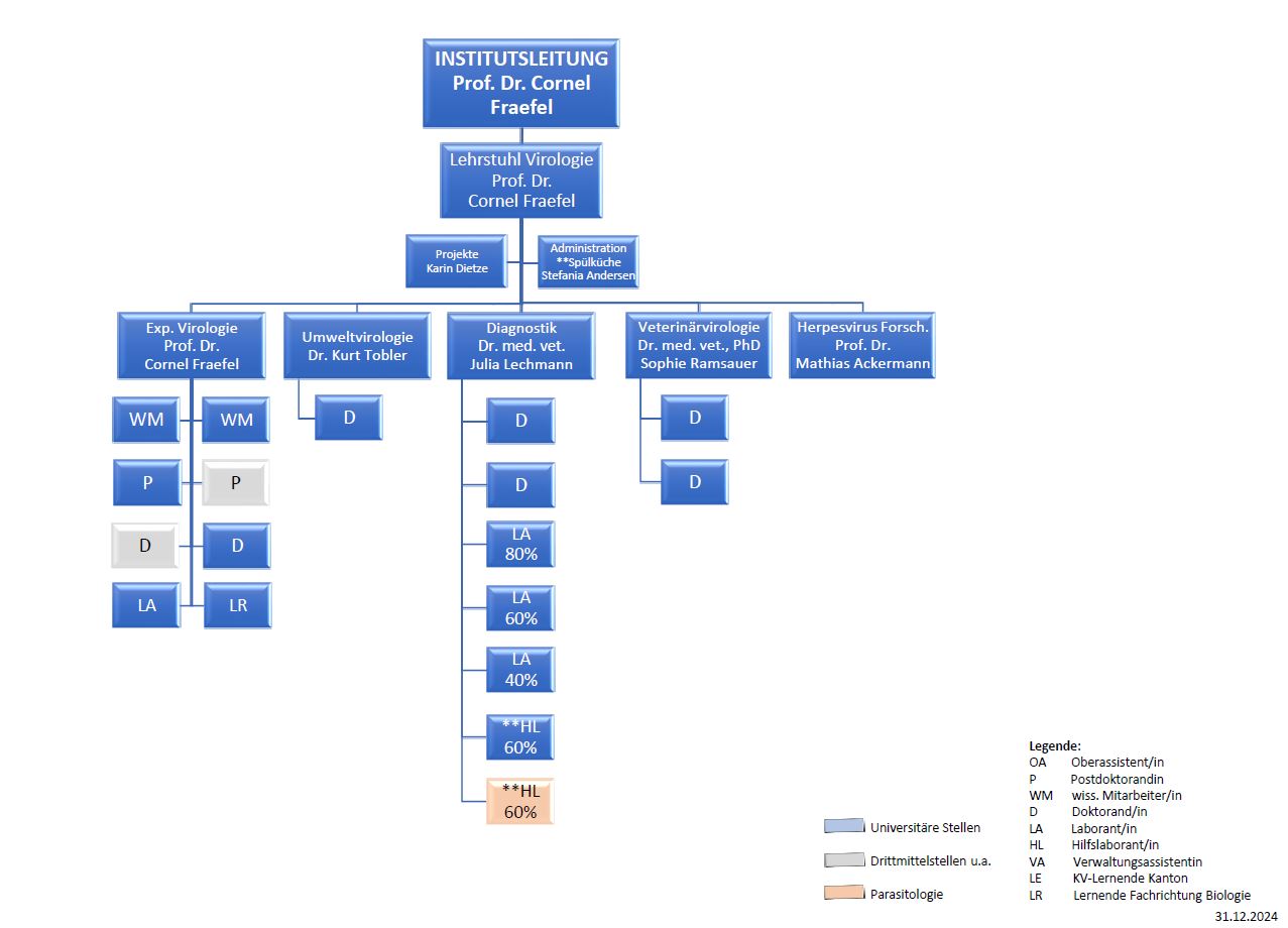 Organigramm 31.12.2024